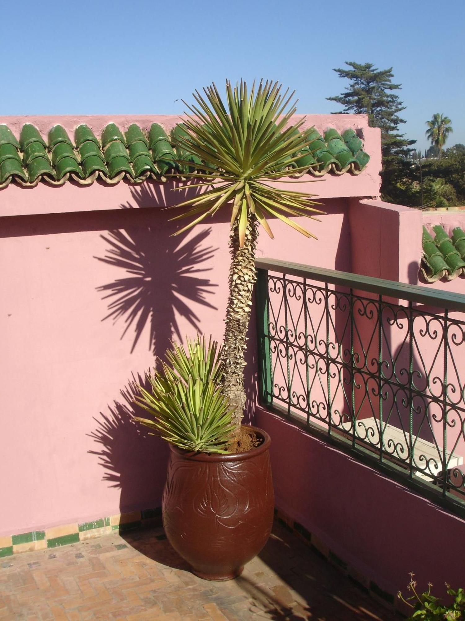Riad Lahboul Meknès Exterior foto
